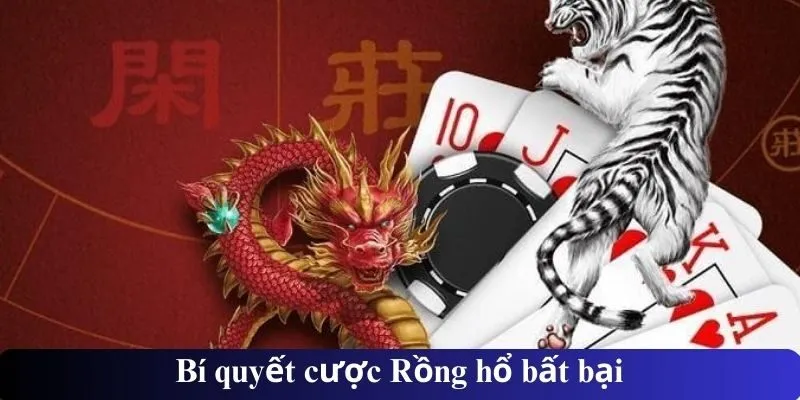 Bí quyết cược Rồng hổ bất bại