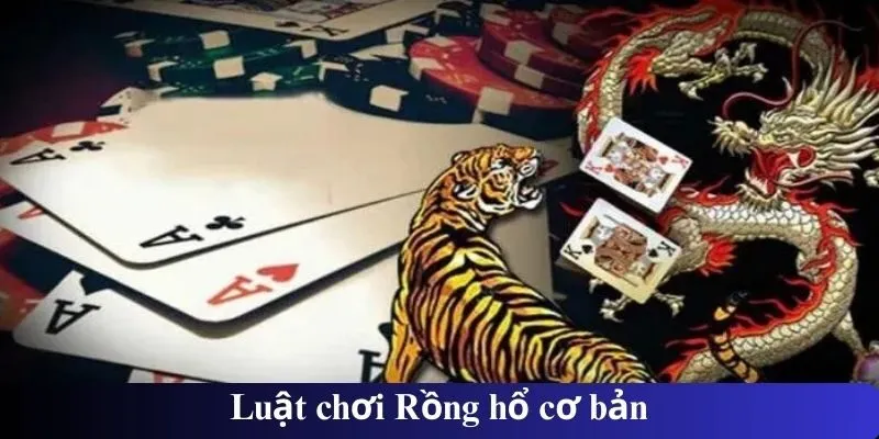 Luật chơi Rồng hổ cơ bản