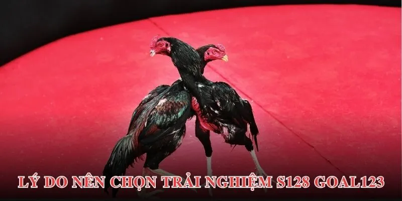 Ưu điểm thu hút sự chú ý người chơi của đá gà S128 Goal123