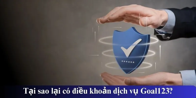Tại sao lại có điều khoản dịch vụ Goal123?